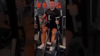 Gymfactory.eu / L7X Row Machine &ndash; Lever Seated Row