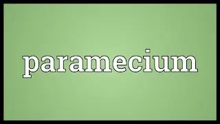 Paramecium Meaning