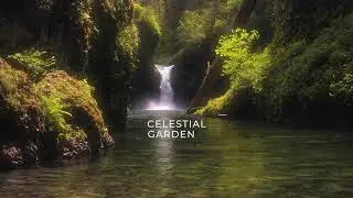 tarqan ➤ celestial garden