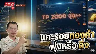 Live Trade Gold มาเก็บ TP 2000++ กันครับ 04/12/25