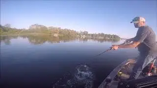 Why figure 8's are so important when musky fishing
