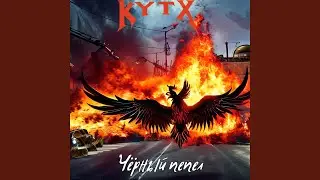 Чёрные розы
