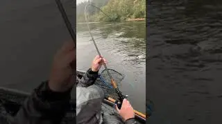 AMAZING Salmon Fishing Video! Savage Take Downs By Coastal King Salmon!