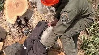 Can Husqvarna Chainsaw Pants Really Save Your Leg?