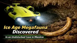 Ice Age Megafauna Found in Mexican Cave | TV Azteca News