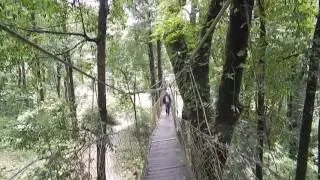 CANOPY WALK AT LOLEGAON