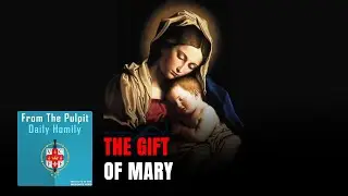 Daily IVE Homilies, December 1st, 2026 -  The Gift of Mary