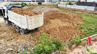 Process New Activity Using Dump Trucks Dumping Soil and Push fill by Powerful DH 17 c3  PRO Dozer