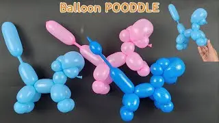 How to make balloon poodle. how to make balloon animals. Poodle - Balloon Animals for Beginners
