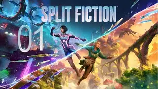 SPLIT FICTION | RADER PUBLISHING / RADER PUBLISHING
