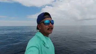 Trolling Weed line for MAHI MAHI Offshore.