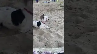 Мораль, в жизни никто не поможет  Вам..