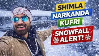 Shimla Narkanda Kufri snowfall update ❄️🌨️