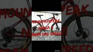 MOUNTAINPEAK NINJA 2 SRAM SX GROUPSET (1x12 SPEED)