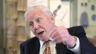 David Attenborough on religion and evolution coexisting