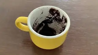 Scorpio Travel, changes, reunions! June 7, 2021 Weekly Coffee Cup Reading