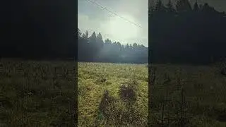 Recharge in nature