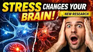 New Science Reveals How Stress Rewires Your Brain Cells| Your Brain Under Stress &mdash; What