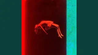 No Safety Net Guidance (Slowed)