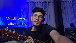 Billie Eilish - WILDFLOWER (Cover - Davi Yves)