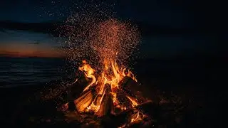 Fireplace Evenings of Calm: Burning Logs, Crackling Sounds, and the Serenity of Pure Relaxation