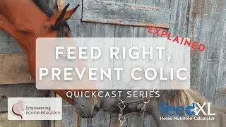 4 Simple Feeding Tips to Help Prevent Colic