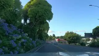 Driving Through Tirau 🇳🇿 Small Town Charm
