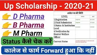 Up scholarship status 2021 || D pharma/B pharma scholarship status