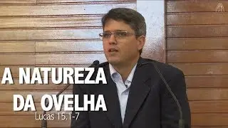 A natureza da ovelha