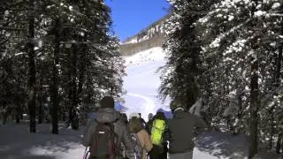 High Country Citizen's Alliance Snowshoe Tour Jan. 2013