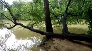 After Heavy Rain  (Kukrail Nala)