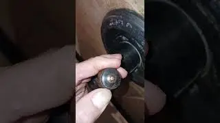 where is the Allen screw, Delta shower 🚿 valve leak 10/14/2025