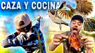 Emocionante CACERIA CON RESORTERA de PALOMAS y CUICHIS