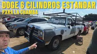 CHULETAS QUE ME ENCONTRE ! CUANTO VALEN