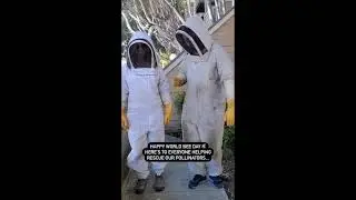 Save the Bees - Comvita Bee Rescue