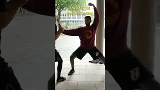 Chen Tai Chi - Posture Testing #kungfu #taichi #chinesemartialarts