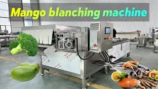 electric heating blanching machine | mango blanching machine | food blanching equipment