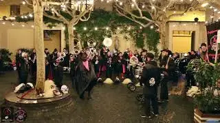MissioNarre & Anarchestra - Love my Life - Volkshuus - Basler Fasnacht 13.03.2019