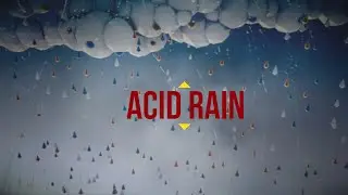 Acid Rain (Animation)
