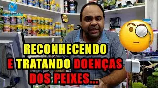 Principais doenças dos peixes ornamentais e seus medicamentos