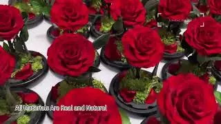 Nature's poetry preserved in petals