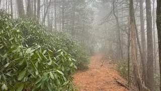 Hiking Table Rock Gap Trail to the summit of Table Rock #chiefsholsters #linvillegorge #tablerock