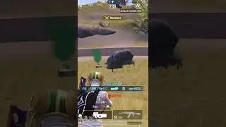 Встретил одинокого Пастуха #pubgmobile #пабг #pubg #ladygaga #wednesday #amongus #livik #ливик