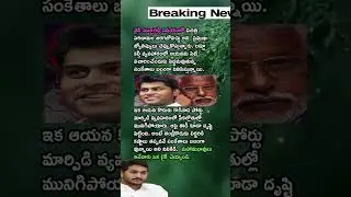 YV Subba Reddy and his son may face problems in 2025 said Astrologers #APPolitics