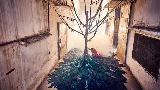 Abandoned Clothing Factory Raises Awareness