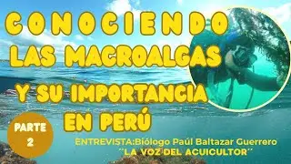 Entrevista con Blgo.Paul Baltazar :Conociendo sobre las Macroalgas y su importancia en Per&uacute;-Parte 2