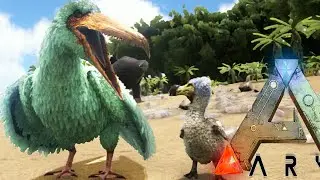 Ark Survival Evolved - PLAY AS DINO BABIES, COEL FISH, PELIGORNIS (Ark Gameplay)
