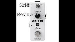 30$ Noise Gate Guitar Pedal Review Rowin Noise Gate
