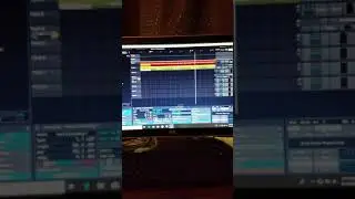 Tracktion 7  Rose in Paradise Ditto looper