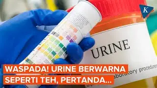 Kenali Warna-warna Urine,  Bisa Jadi Tubuhmu Sedang Tidak Baik-baik Saja